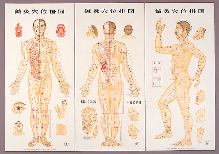 鍼灸穴位掛図 | 全医療器